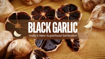 The Rise of Black Gold: Black Turmeric Farming in India